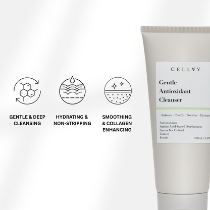Gentle Antioxidant Cleanser